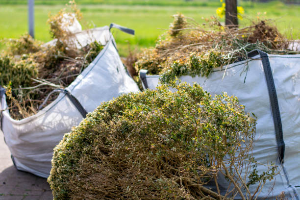Best Basement Cleanout Services  in Apple Valley, MN